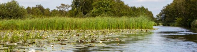 5 De Hollandse Weerribben 2 bewerkt 1 1 945x250 1 2