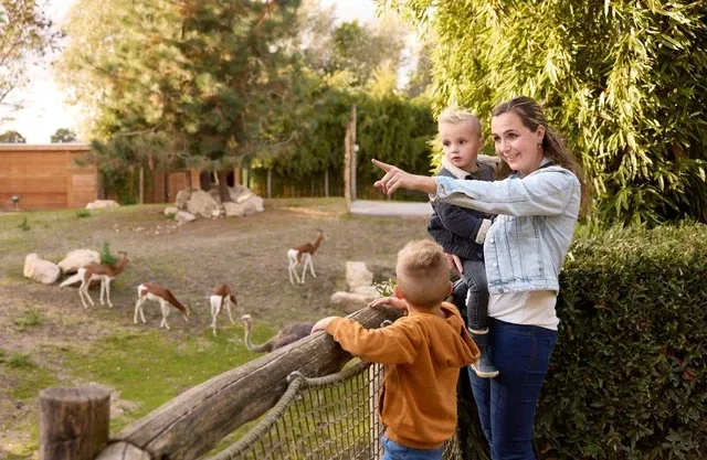 Zooparc overloon 1