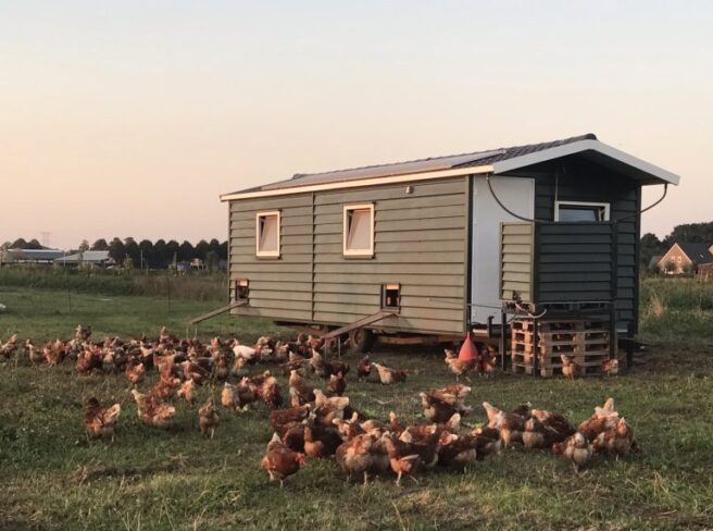 IMG 8970 e1721988643971 768x571