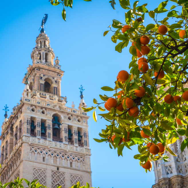 Sevilla 1