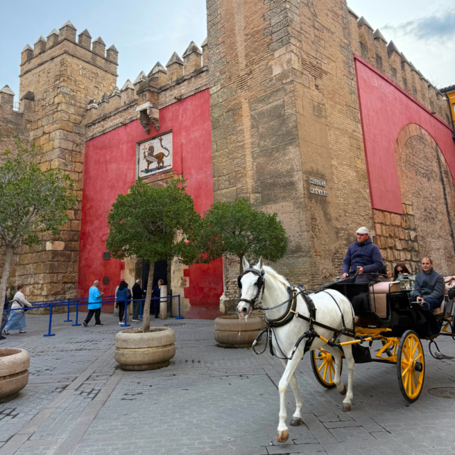 Sevilla 6