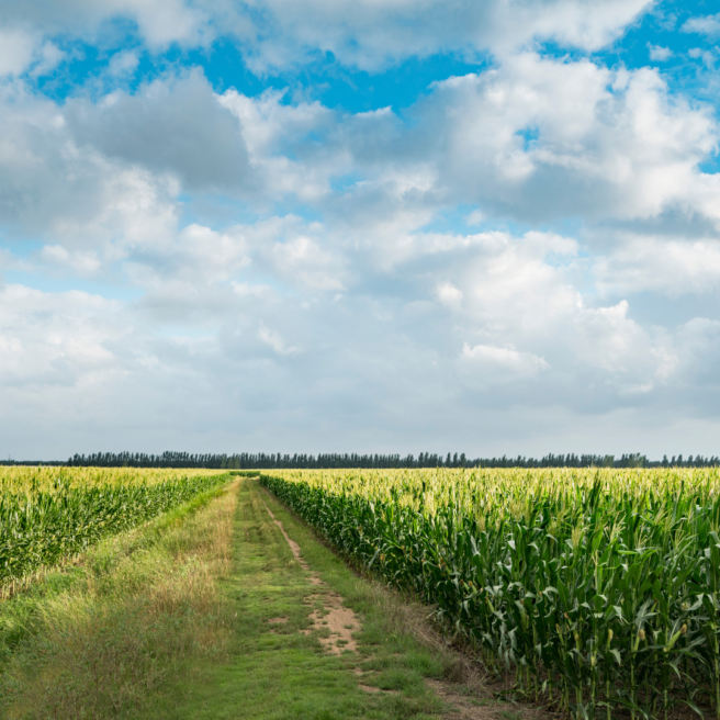 Smaak ambacht en gastvrijheid 2