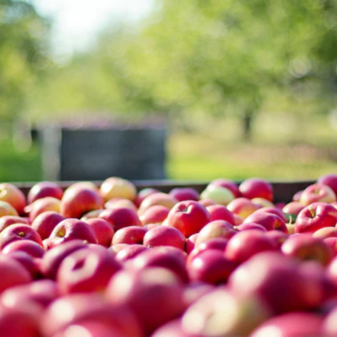 Smaak ambacht en gastvrijheid 3