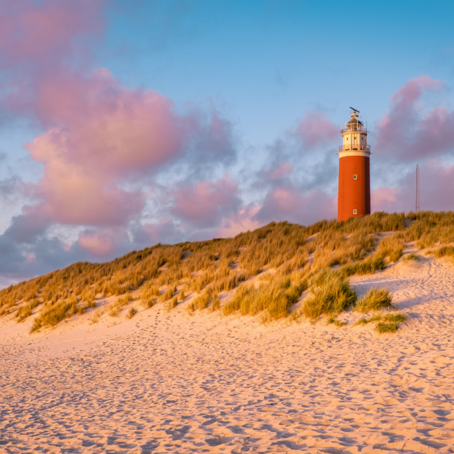 Texel 1