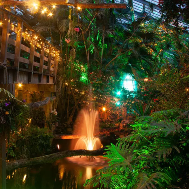 Winterdroom Pantropica 3