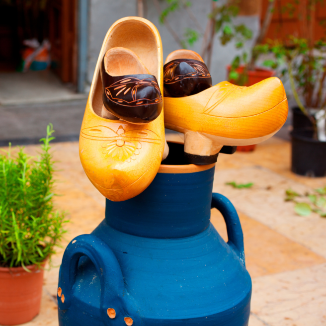 Boerderij de weistaar klompen