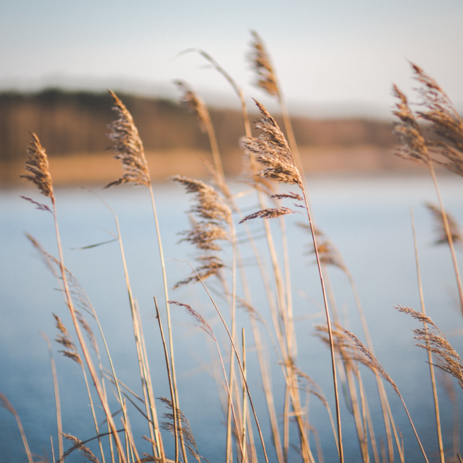 Cruise veluwe 3